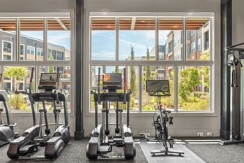 24-Hour cardio and strength training fitness center with yoga studio
